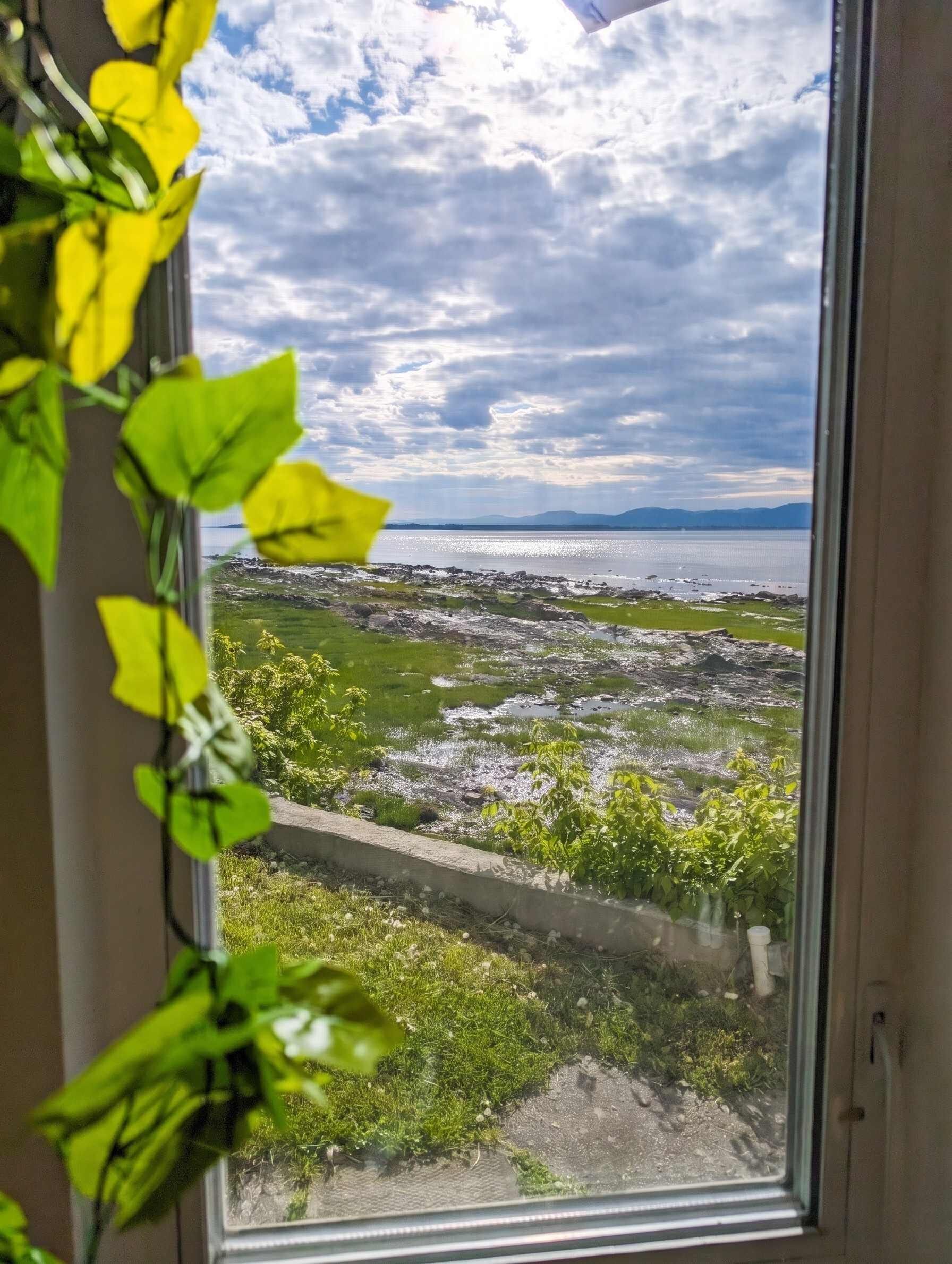 A window view of a coastal landscape with greenery and a body of water.