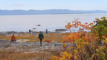 A rocky shoreline with people and a dog, a body of water, and distant mountains.