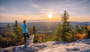 Une personne et un chien se tiennent sur un promontoire rocheux surplombant une vallée boisée, avec un coucher de soleil en arrière-plan.