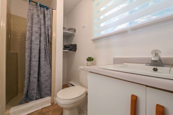 Shower, hair dryer, shampoo