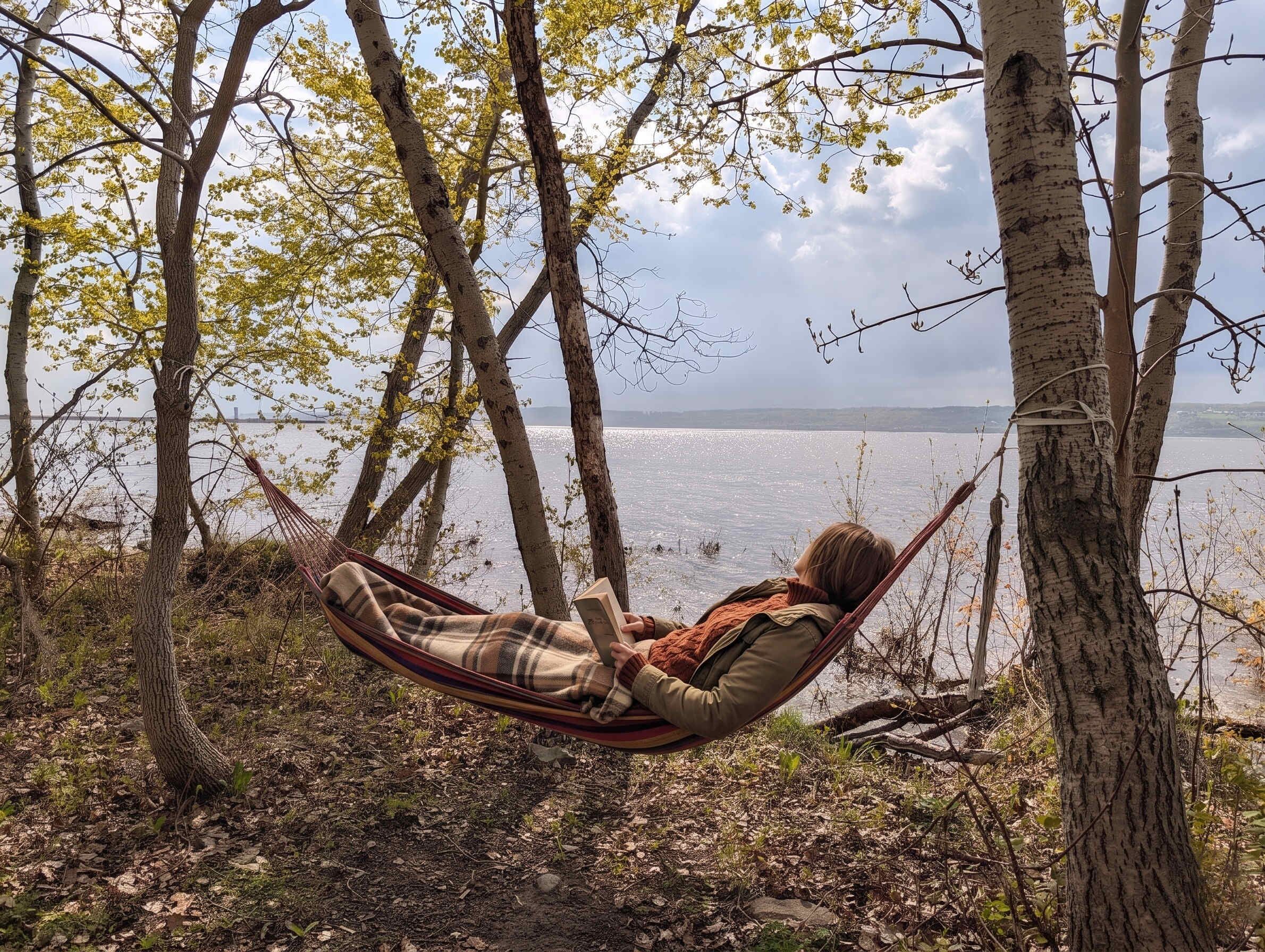 Un'amaca tra gli alberi con vista su un corpo d'acqua.