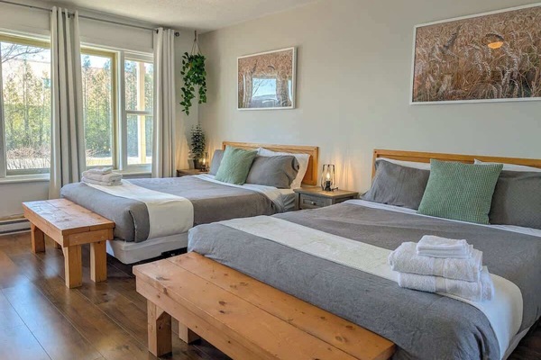 Baignez-vous de lumière naturelle dans une pièce au charme rustique avec deux lits confortables, idéale pour se détendre.