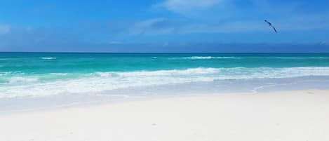 Vlak bij het strand