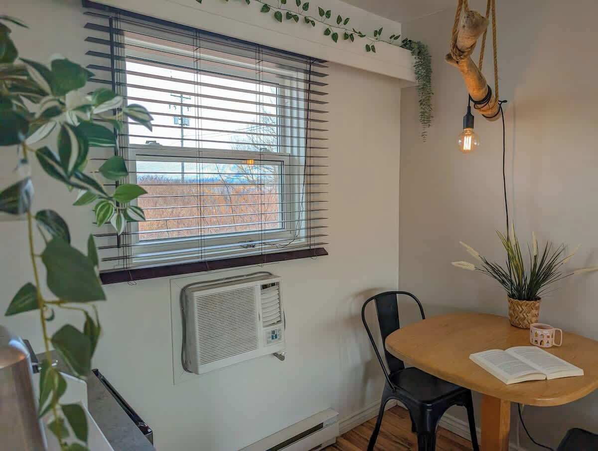 A room with a large window, a table with chairs, a hanging light fixture, and a potted plant.