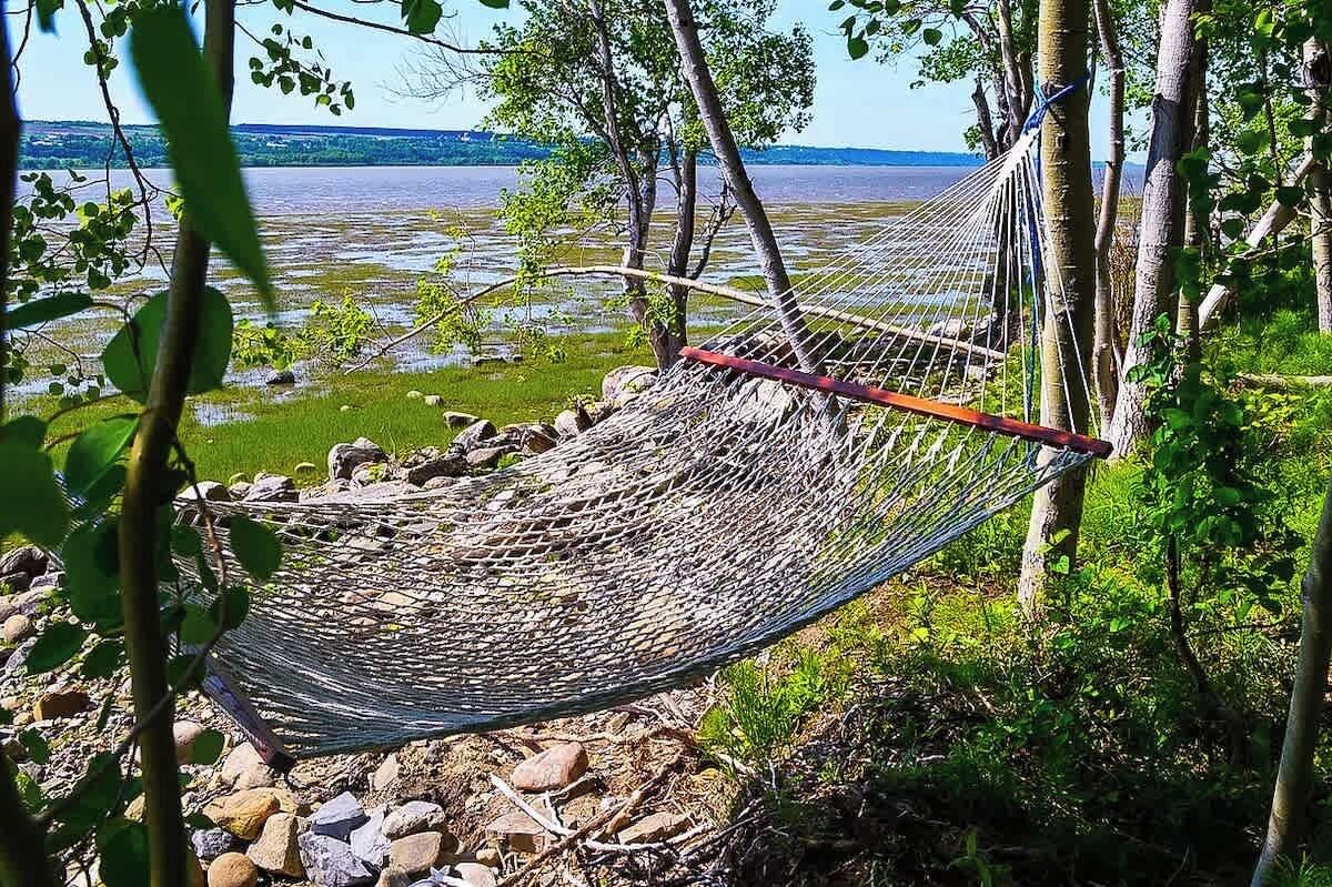 A hammock tied between trees overlooking a body of water.