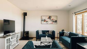 TV, fireplace, offices