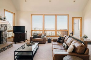 电视、壁炉、办公室