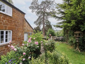 المنطقة المحيطة بالمنشأة