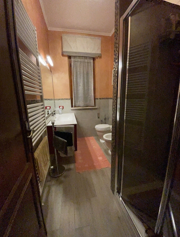 Dusche, Haartrockner, Bidet, Handtücher