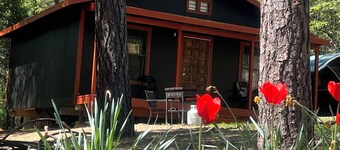 Soothing cabin with WiFi in charming Foresthill