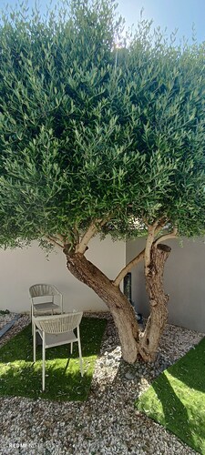 Maison Sophie - Swimming pool - 3 bedrooms