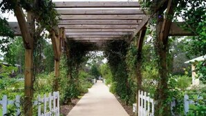 A wooden pergola structure with a pathway underneath, surrounded by greenery and white picket fences. - Beaches/Golf - Coastal Retreat w Chefs Kitchen (Port St. Lucie)