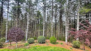 A forested area with tall trees and a fenced pathway. - Peaceful Cabin: Trails, Winery, Fire-pit & 12 Acr (Newland)