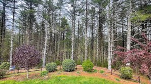 Property grounds - Peaceful Cabin: Trails, Winery, Fire-pit & 12 Acr (Newland)