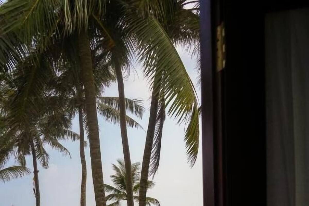 A view of a beach with palm trees and the ocean.