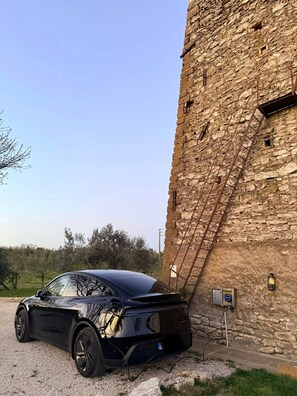 Property grounds - Torre Menerva Viterbo, Torre Menerva Viterbo (Lazio)