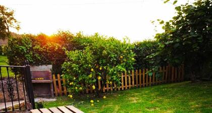 Villa Adelina. Your country house.