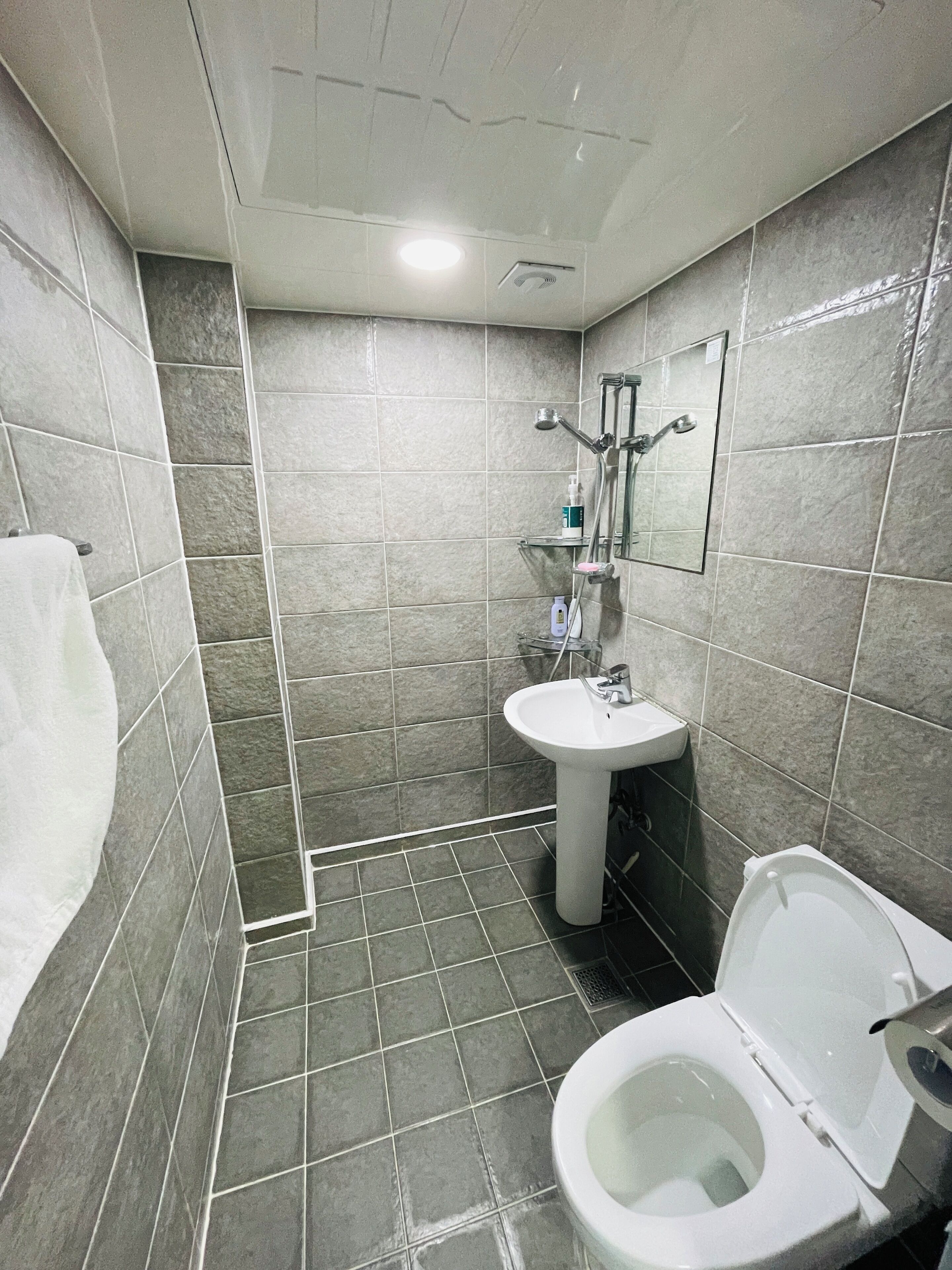 Ein Badezimmer mit Toilette, Waschbecken und Dusche.