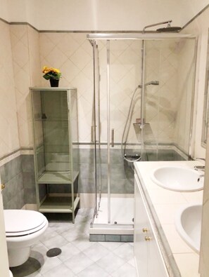 Shower, hair dryer, bidet, towels