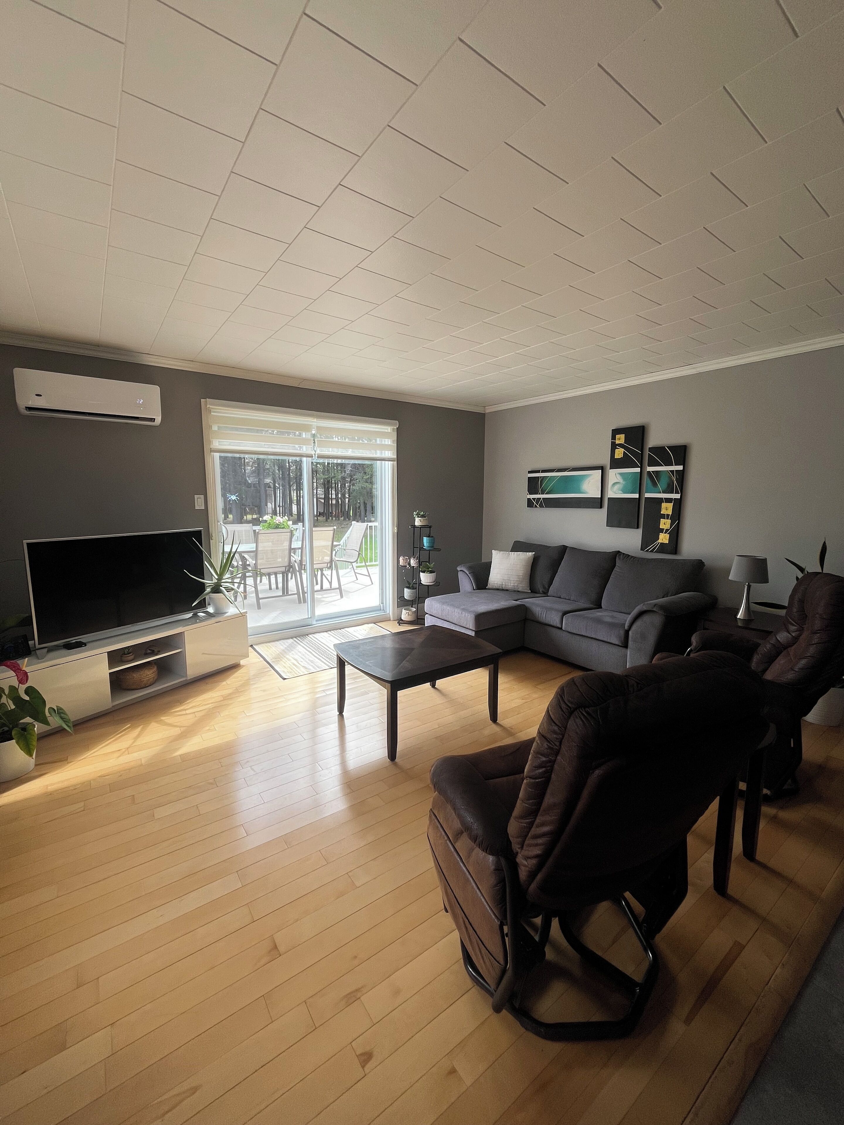 Una Smart TV, libros