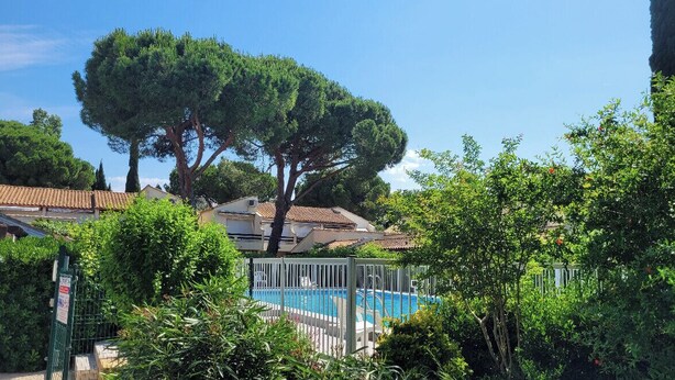 Ein Pool, umgeben von üppiger Vegetation und einem großen Baum.