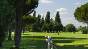 Ein Golfplatz mit Teich, Bäumen und einer Fahne.