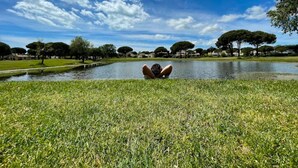 Eine Wiese mit einem Teich und Bäumen im Hintergrund.