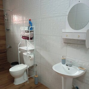 Sèche-cheveux, serviettes fournies, papier toilette