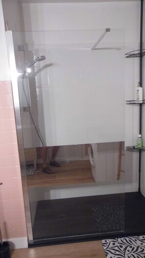Shower, hair dryer