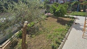 Un jardin résidentiel avec différentes plantes et un petit arbre.