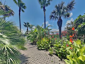 Servicio de la propiedad