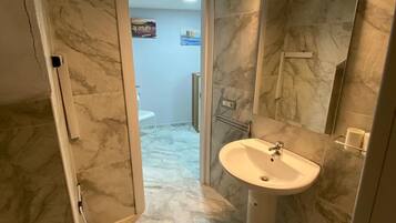 Shower, hair dryer, bidet, towels