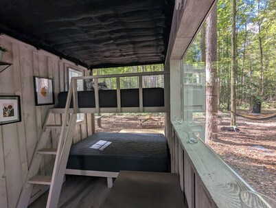 Little Can in the Pines - Bunkie No. 2