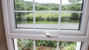 Una ventana con vistas a un paisaje verde y una carretera.