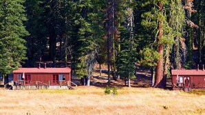 Trois cabanes rouges dotées de terrasses en bois, entourées de grands pins et d’un champ verdoyant.