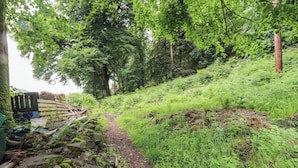 A narrow, rocky path surrounded by lush greenery and trees. - Tryfan Cottage (Caernarfon)