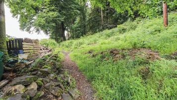 Àrea exterior de l'allotjament