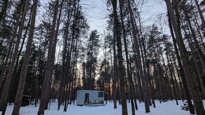 A cabin surrounded by tall trees in a snowy forest. - Little Can in the Pines - Bunkie No. 1 (SIMCOE)