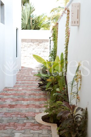 Courtyard - Saules Sueño  (Cancún)