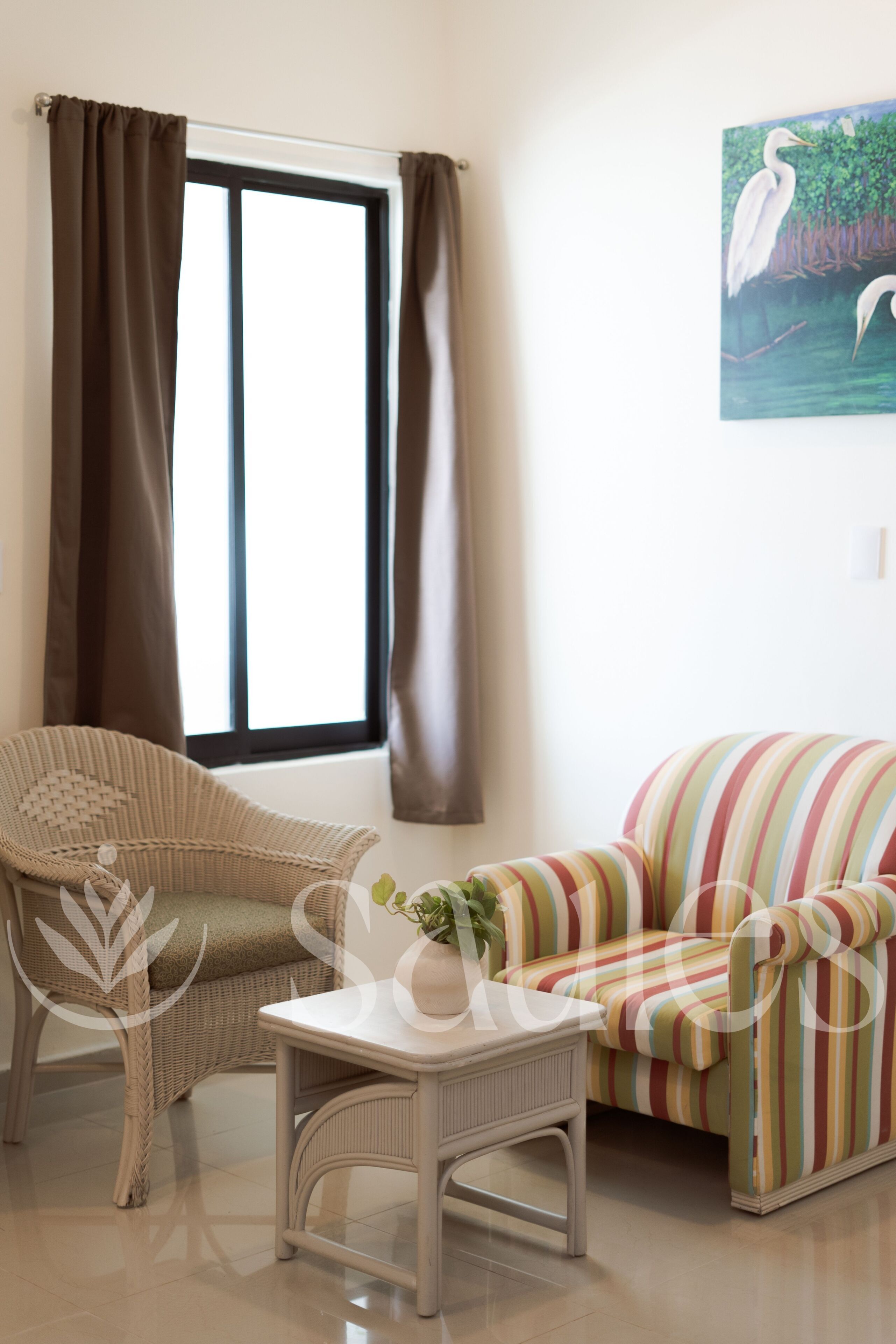 Foto - Saules Sueño