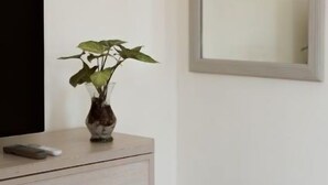 Een kamer met een lichte dressoir, een vaas met een plant, een spiegel en een televisie.