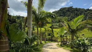 A dirt path flanked by lush greenery and palm trees, leading towards a hilly landscape. - Recanto Fogo na Taça (Jaraguá do Sul)