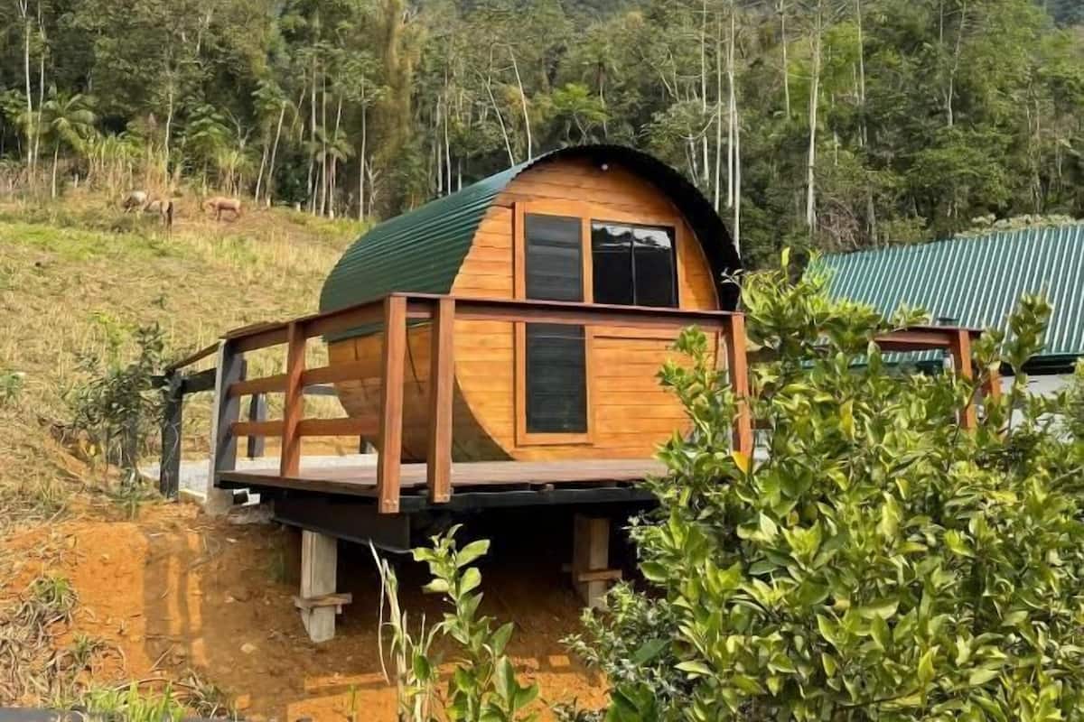A wooden cabin with a green roof, elevated on stilts, surrounded by lush greenery and a forested hillside.