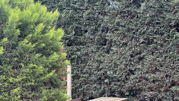 Un banco de madera con respaldo y reposabrazos, ubicado en una zona pavimentada con un seto al fondo.