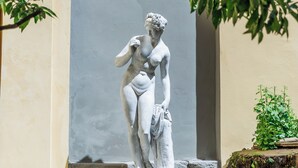 A statue of a classical figure in a garden setting with a tree and a bench. - PALAZZO DELLA BIANCA- Royal Experience (Pisa)