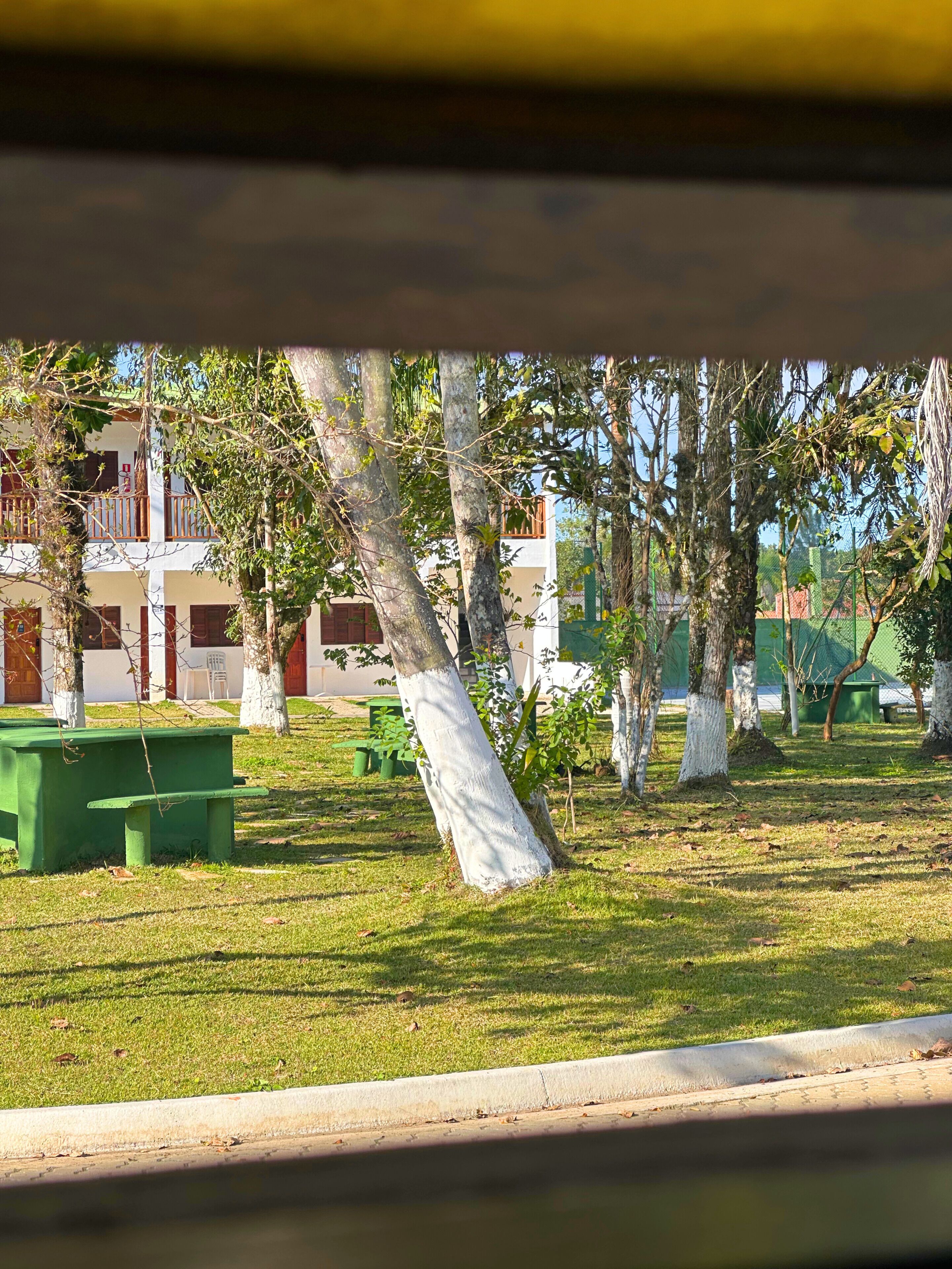 A courtyard with trees, a green bench, and a building with multiple windows and balconies.