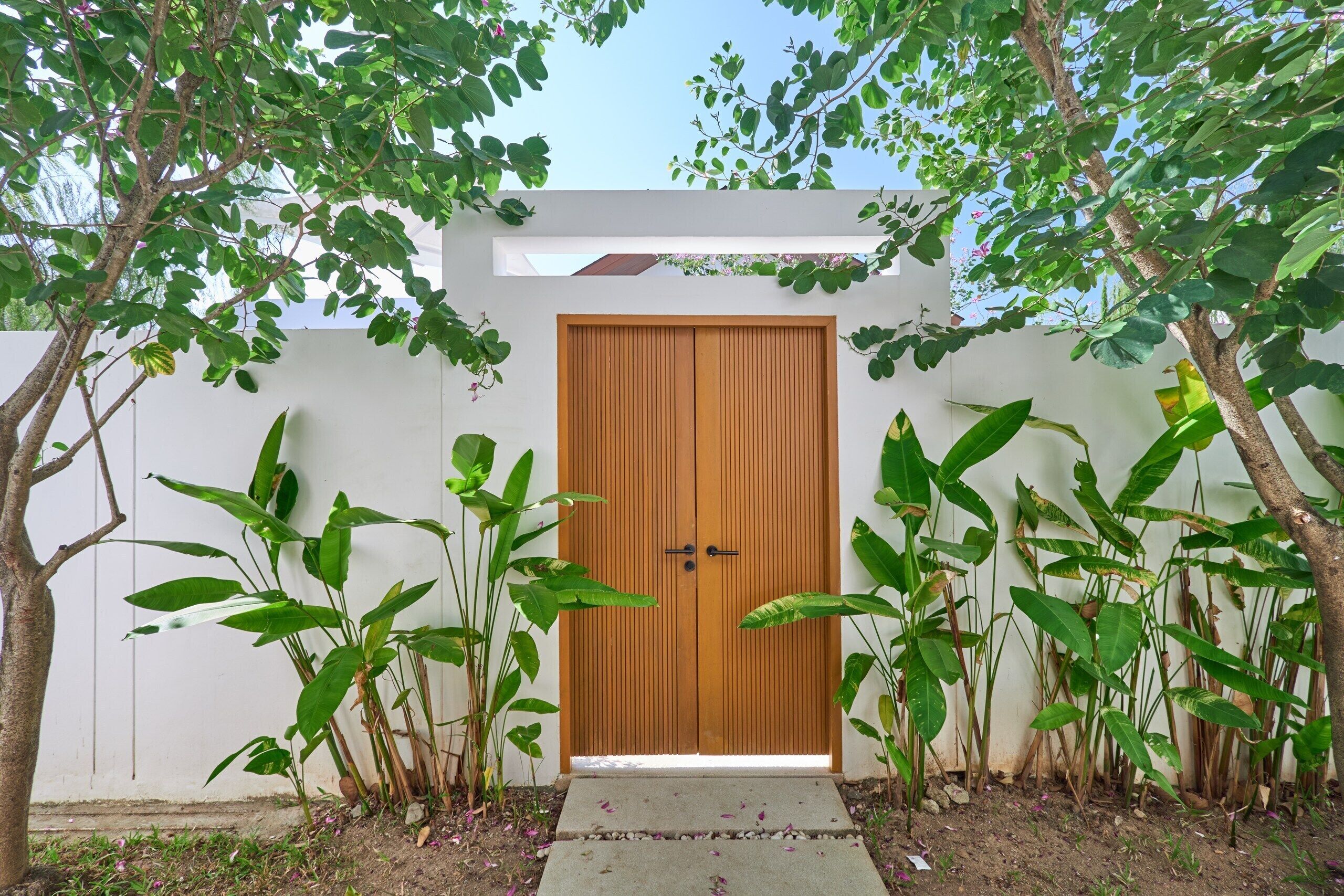 Una puerta de madera con una pared blanca y un sendero de concreto que lleva a ella, rodeada de plantas verdes grandes.