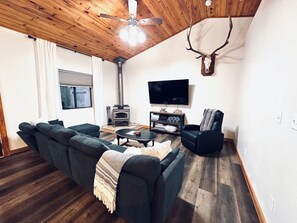 Smart TV, fireplace, video games, books