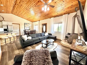 Smart TV, fireplace, video games, books