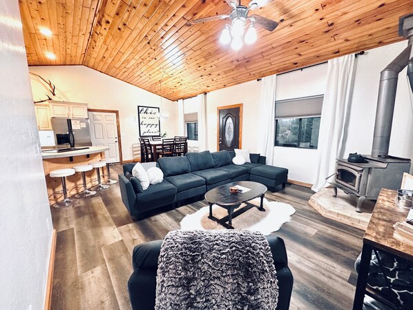 Smart TV, fireplace, video games, books